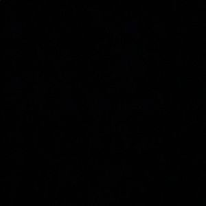 Meet your Posher, Wesley